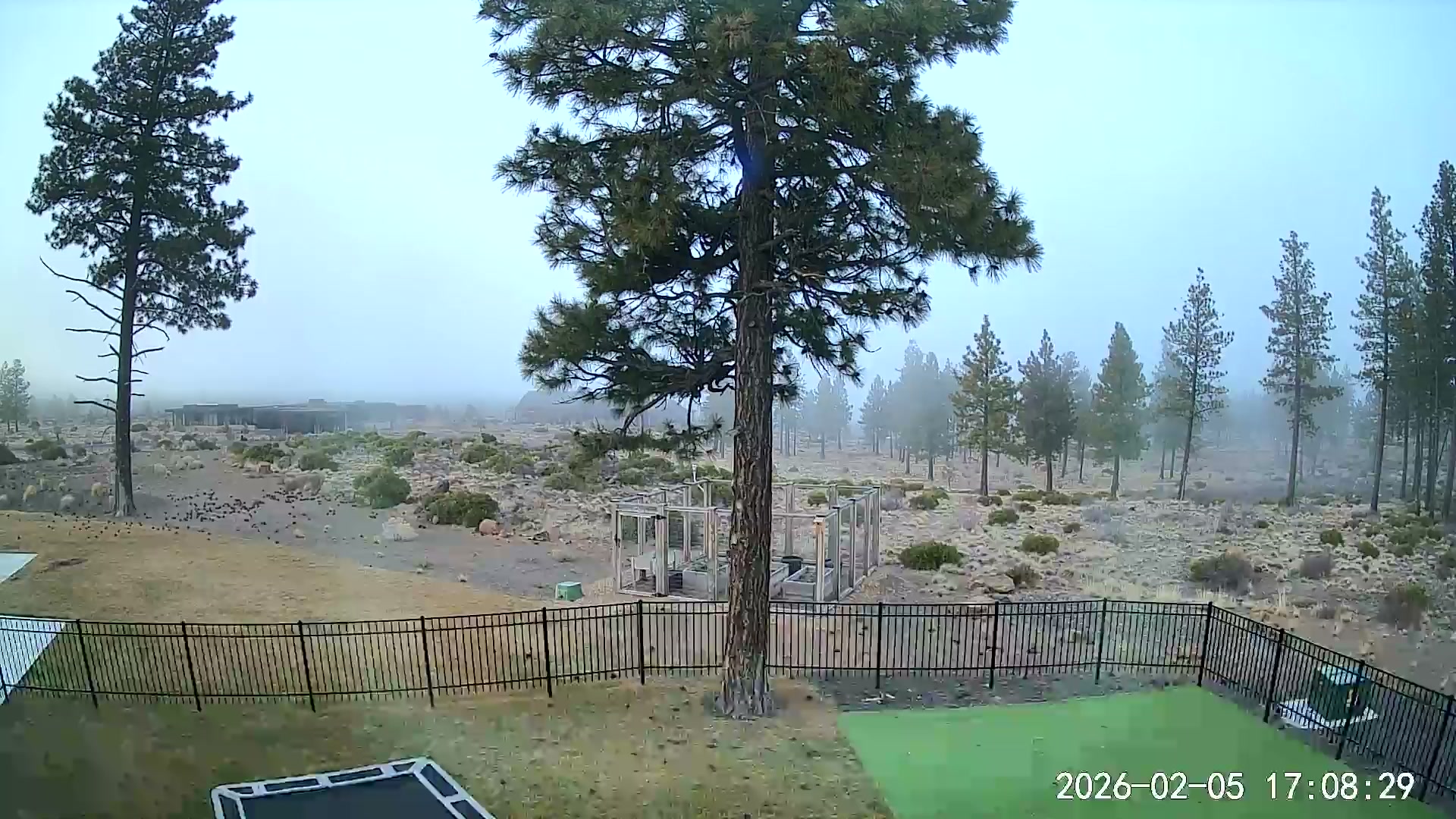 Live camera view